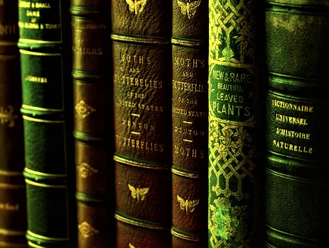 36 books that made the Western&nbsp;Canon
